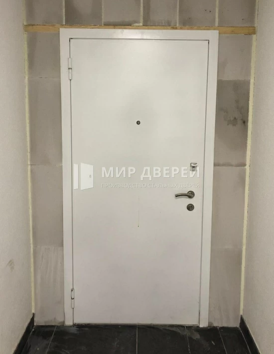 Фото двери № 439