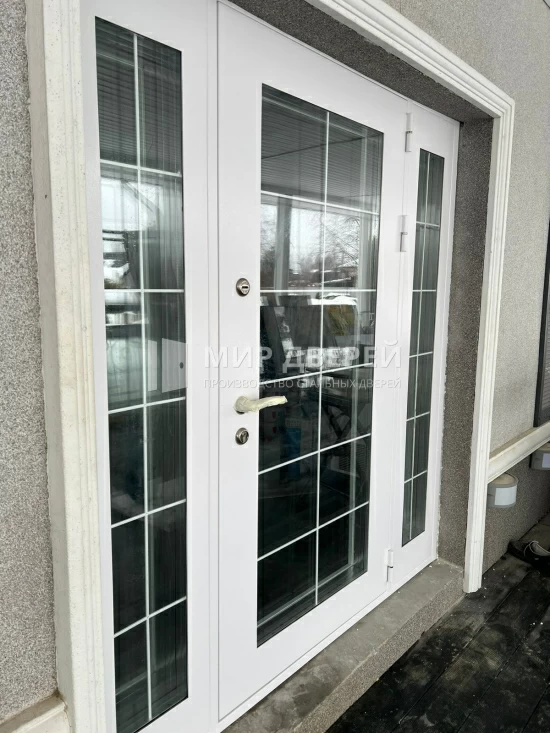 Фото двери № 106